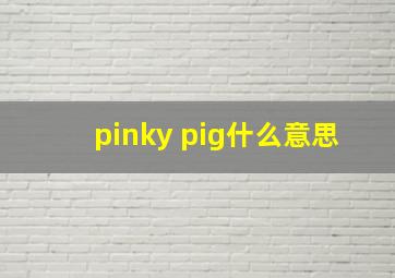 pinky pig什么意思